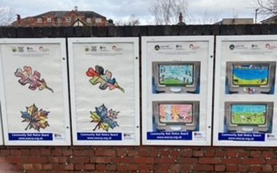 Braintree Station Railway Art